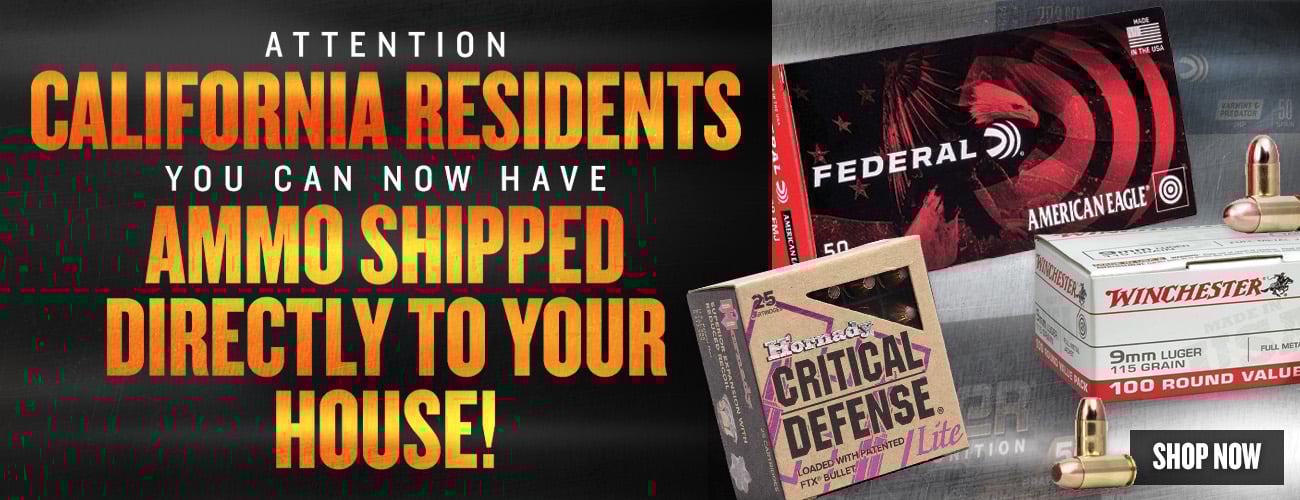 Now Shipping Ammo to CA